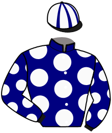 casaque portée par Gauvin M. jockey du cheval de course HOLYFIELD SPORT, information pmu ZETURF