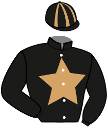 casaque portée par Abrivard M. jockey du cheval de course ICE HAUFOR, information pmu ZETURF