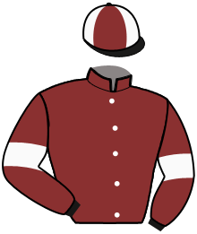 casaque portée par Rochard B. jockey du cheval de course ISAAC DE SYVA, information pmu ZETURF