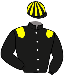 casaque portée par Raffestin J. jockey du cheval de course HOKITOLOVE, information pmu ZETURF