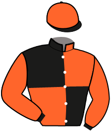 casaque portée par Rouer B. jockey du cheval de course HAMPTON DU VIVIER, information pmu ZETURF
