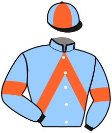 casaque portée par Gauvin J. P. jockey du cheval de course IMPULSE JULRY, information pmu ZETURF