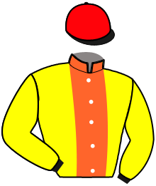 casaque portée par Ernault S. jockey du cheval de course JURILOVCA, information pmu ZETURF