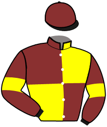 casaque portée par De Jesus Est. jockey du cheval de course JERZINO VICI, information pmu ZETURF