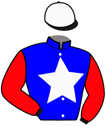 casaque portée par Raffin E. jockey du cheval de course JAGUAR FLORAL, information pmu ZETURF