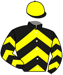 casaque portée par Szirmay E. jockey du cheval de course KIBELLE DE VIETTE, information pmu ZETURF
