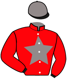 casaque portée par Nivard F. jockey du cheval de course KOBA DE MONTI, information pmu ZETURF