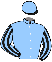 casaque portée par D' Andigne O. jockey du cheval de course STAY AROUND, information pmu ZETURF