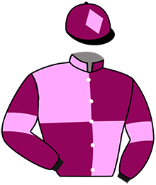 casaque portée par Mangione R. jockey du cheval de course WIXON'S MEMORY, information pmu ZETURF