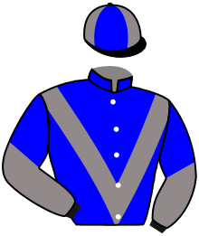 casaque portée par Molins Mme Amb. jockey du cheval de course PENNYWELL, information pmu ZETURF