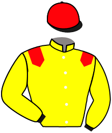 casaque portée par Dieteren Mme Liz. jockey du cheval de course GRAND YAKA, information pmu ZETURF