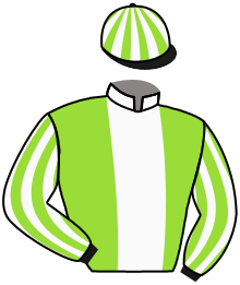 casaque portée par Rabhi Mme E. jockey du cheval de course PRINCE SHALAA, information pmu ZETURF
