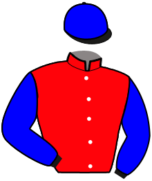 casaque portée par Bizoux Lor. jockey du cheval de course LIPINSKA, information pmu ZETURF