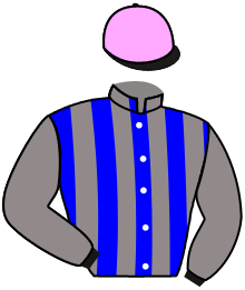 casaque portée par Lemaitre A. jockey du cheval de course DINER EN VILLE, information pmu ZETURF
