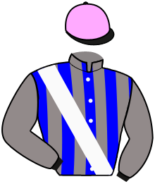 casaque portée par Barzalona M. jockey du cheval de course PREMIERA, information pmu ZETURF
