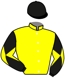 casaque portée par Le Quilleuc S. jockey du cheval de course SCHIZZO, information pmu ZETURF