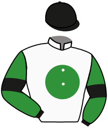 casaque portée par Romary Mlle M. jockey du cheval de course GEORGES VILLE, information pmu ZETURF