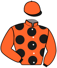 casaque portée par Lamy A. jockey du cheval de course LARRY DU DOUBS, information pmu ZETURF
