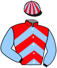 casaque portée par Joly R. jockey du cheval de course LOVELY DREAM, information pmu ZETURF
