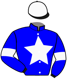 casaque portée par Abrivard M. jockey du cheval de course LYNX DU RUISSEAU, information pmu ZETURF
