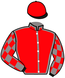 casaque portée par Fournier E. M. jockey du cheval de course LILAS D'ECHAL, information pmu ZETURF