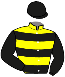casaque portée par Blaizot C. jockey du cheval de course IKAKOU, information pmu ZETURF