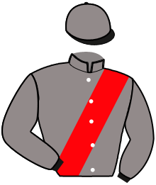 casaque portée par Raffin E. jockey du cheval de course JAVA DE CASTELLE, information pmu ZETURF