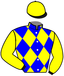 casaque portée par Raffin E. jockey du cheval de course JEROCASH DE PHYT'S, information pmu ZETURF