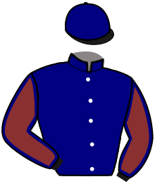 casaque portée par Regnault Mme Lau. jockey du cheval de course JADE D'AMOUR, information pmu ZETURF