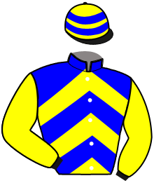 casaque portée par Ernault S. jockey du cheval de course JIPET DE CREPIN, information pmu ZETURF
