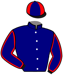 casaque portée par Dollion A. jockey du cheval de course IRINO DE GUERON, information pmu ZETURF