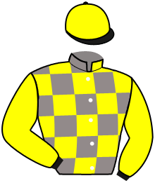 casaque portée par Durville Mar. jockey du cheval de course KELLY D'ACADIE, information pmu ZETURF