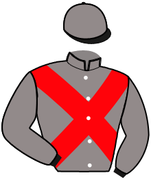 casaque portée par Marty R. jockey du cheval de course KALICANTE, information pmu ZETURF