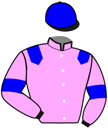 casaque portée par Joly R. jockey du cheval de course KIRMANE DE LAVAU, information pmu ZETURF