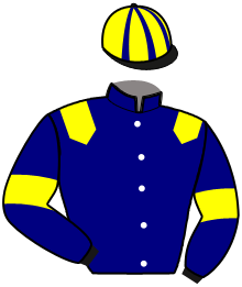 casaque portée par Abrivard M. jockey du cheval de course MISTER SALTOR, information pmu ZETURF