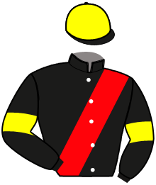 casaque portée par Privat Mlle E. jockey du cheval de course MATHY DES YVETS, information pmu ZETURF