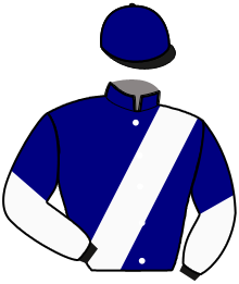 casaque portée par Gelormini L. jockey du cheval de course MY FRIEND AND ME, information pmu ZETURF