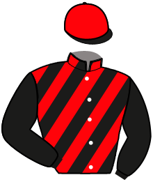 casaque portée par Ploquin Pau. Ph. jockey du cheval de course MANON PIERJI, information pmu ZETURF