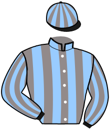 casaque portée par Chupin L. jockey du cheval de course LAST BIRTH JERSOP, information pmu ZETURF