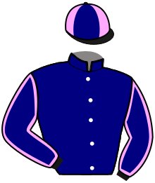 casaque portée par Verva Pie. Y. jockey du cheval de course LOVE ME DE DUSSAC, information pmu ZETURF