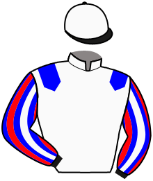 casaque portée par Cannaert L. jockey du cheval de course LOUP D'ERPION, information pmu ZETURF