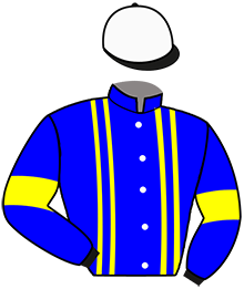 casaque portée par Verva Pie. Y. jockey du cheval de course KHEOPS DU PERRON, information pmu ZETURF casaque portée par Verva Pie. Y. jockey du cheval de course KHEOPS DU PERRON, information pmu ZETURF