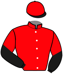 casaque portée par Dromigny T. jockey du cheval de course JUST LOVE D'ALSACE, information pmu ZETURF casaque portée par Dromigny T. jockey du cheval de course JUST LOVE D'ALSACE, information pmu ZETURF