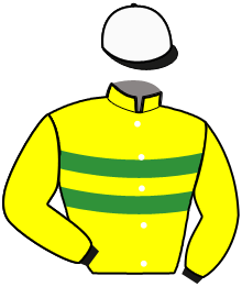 casaque portée par Piton J. Ch. jockey du cheval de course GRAAL DE BUSSET, information pmu ZETURF casaque portée par Piton J. Ch. jockey du cheval de course GRAAL DE BUSSET, information pmu ZETURF