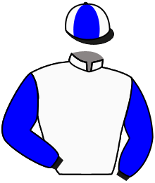casaque portée par Claudic J. jockey du cheval de course MISTY CITY, information pmu ZETURF