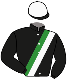 casaque portée par Hammer-hansen Tho. jockey du cheval de course TOUR DE MONDE, information pmu ZETURF casaque portée par Hammer-hansen Tho. jockey du cheval de course TOUR DE MONDE, information pmu ZETURF