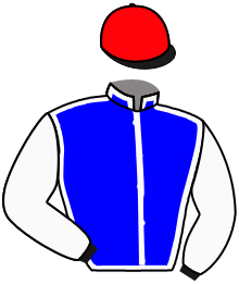 casaque portée par Baudet N. jockey du cheval de course HERMETIC, information pmu ZETURF casaque portée par Baudet N. jockey du cheval de course HERMETIC, information pmu ZETURF