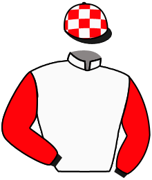 casaque portée par Guyon M. jockey du cheval de course GO WITH THE ROSES, information pmu ZETURF
