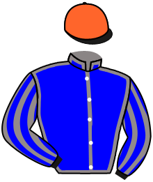 casaque portée par Romary Mlle M. jockey du cheval de course GARRIS, information pmu ZETURF