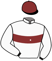 casaque portée par Mekouche Mlle A. jockey du cheval de course ALEXEI, information pmu ZETURF